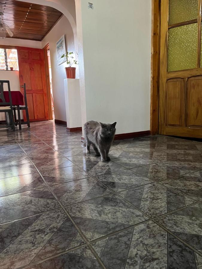 Apartmán El Mochilero Cartago Exteriér fotografie